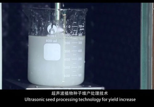 金稻植物種子增産處理(lǐ)機宣傳片